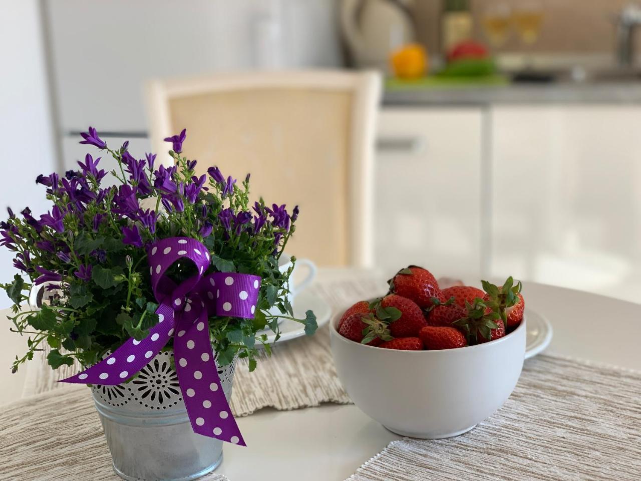 Karina Apartment 부드바 외부 사진