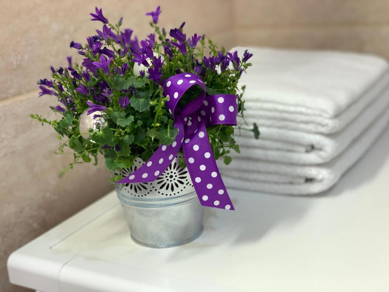 Karina Apartment 부드바 외부 사진